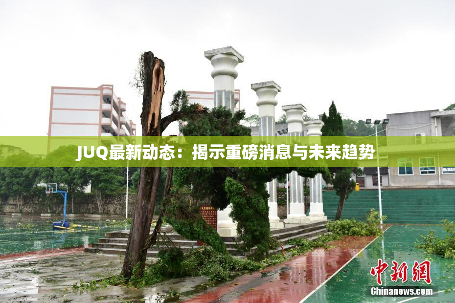 JUQ最新动态：揭示重磅消息与未来趋势