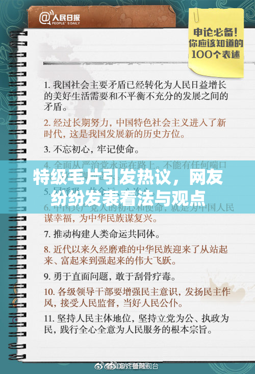 特级毛片引发热议，网友纷纷发表看法与观点