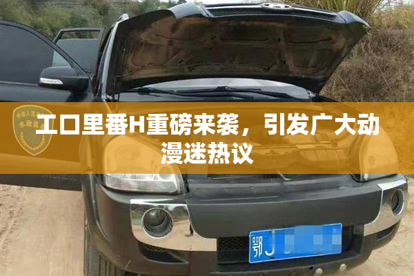 工口里番H重磅来袭，引发广大动漫迷热议