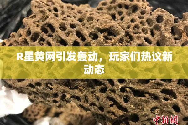 R星黄网引发轰动，玩家们热议新动态