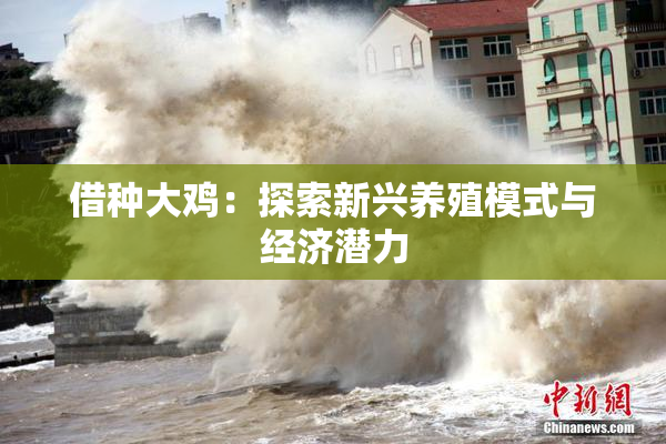 借种大鸡：探索新兴养殖模式与经济潜力