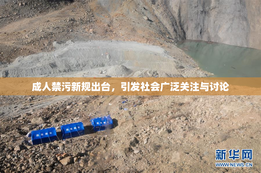 成人禁污新规出台，引发社会广泛关注与讨论