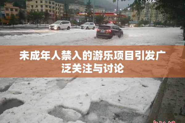 未成年人禁入的游乐项目引发广泛关注与讨论