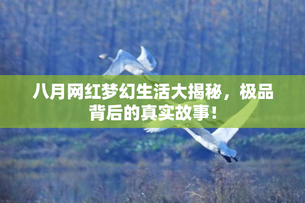 八月网红梦幻生活大揭秘，极品背后的真实故事！