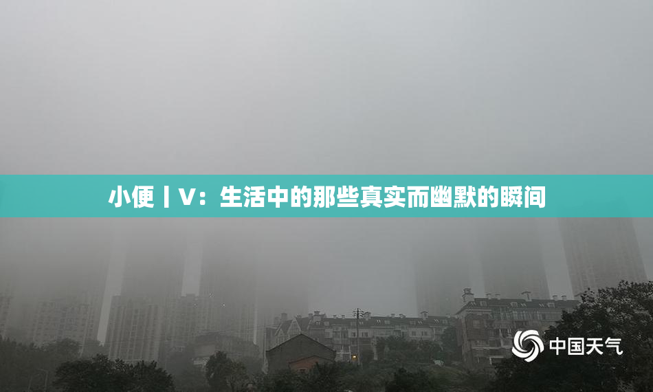 小便丨V：生活中的那些真实而幽默的瞬间