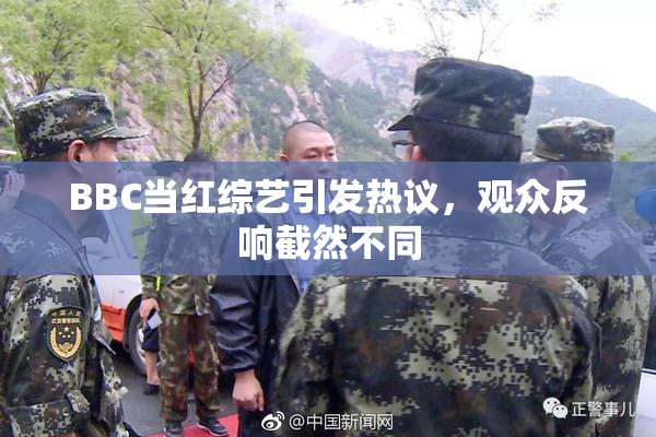 BBC当红综艺引发热议，观众反响截然不同