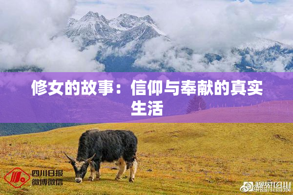 修女的故事：信仰与奉献的真实生活