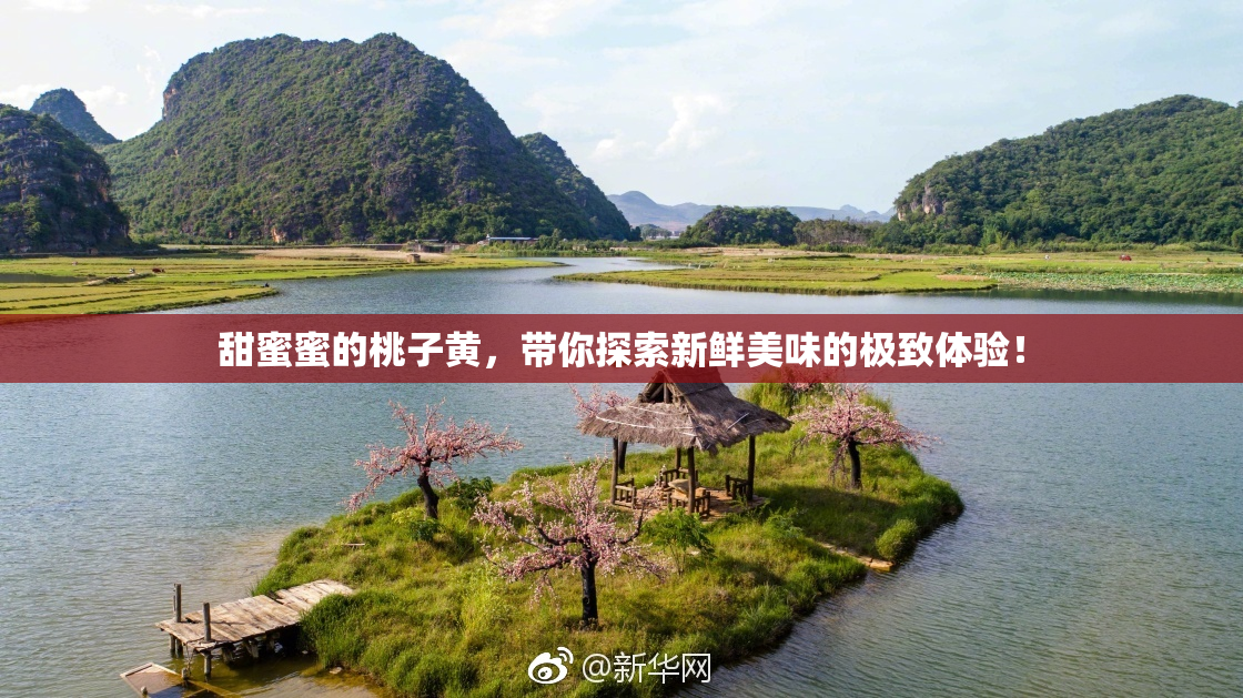 甜蜜蜜的桃子黄，带你探索新鲜美味的极致体验！