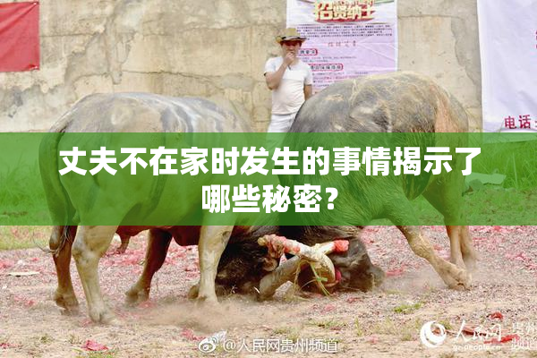 丈夫不在家时发生的事情揭示了哪些秘密？