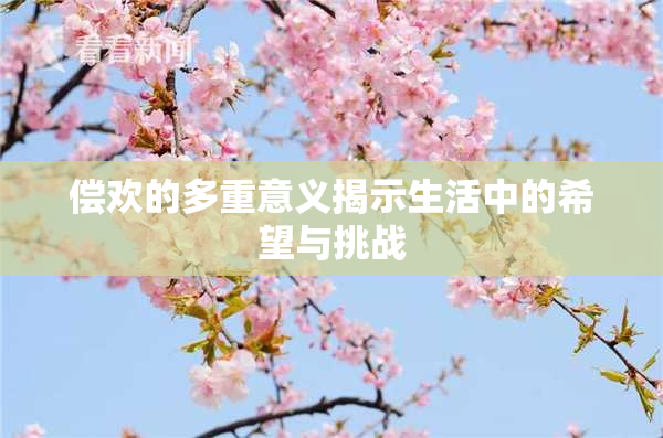偿欢的多重意义揭示生活中的希望与挑战
