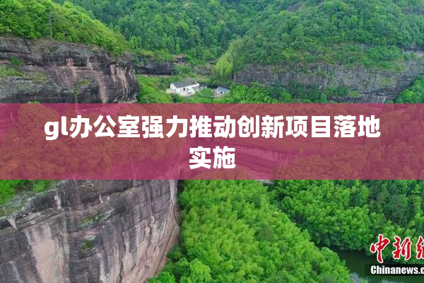 gl办公室强力推动创新项目落地实施