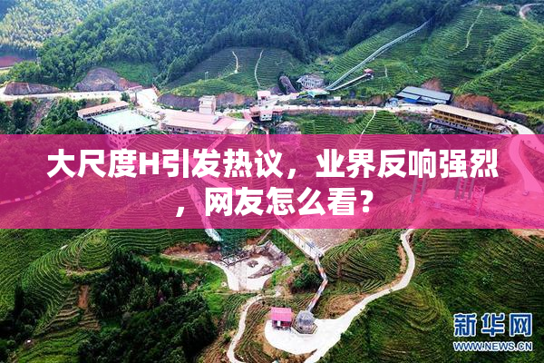 大尺度H引发热议，业界反响强烈，网友怎么看？