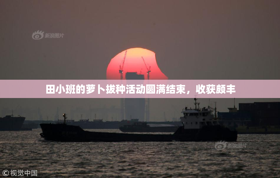田小班的萝卜拔种活动圆满结束，收获颇丰