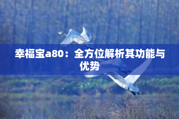 幸福宝a80：全方位解析其功能与优势
