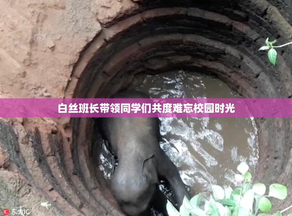 白丝班长带领同学们共度难忘校园时光