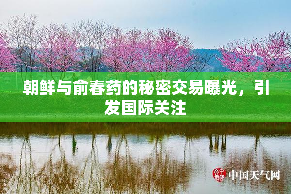 朝鲜与俞春药的秘密交易曝光，引发国际关注
