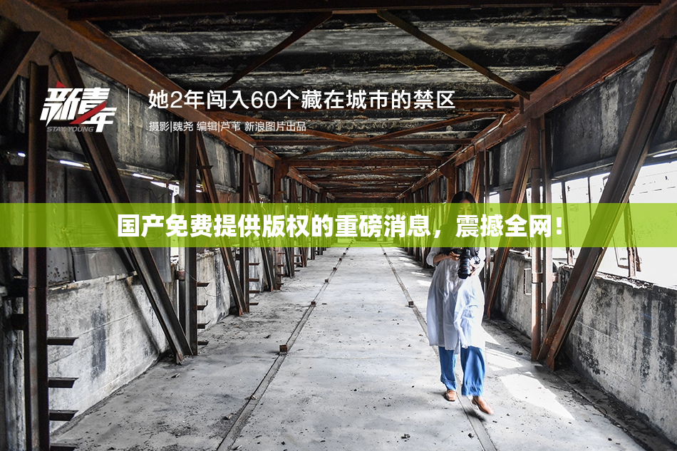 国产免费提供版权的重磅消息，震撼全网！