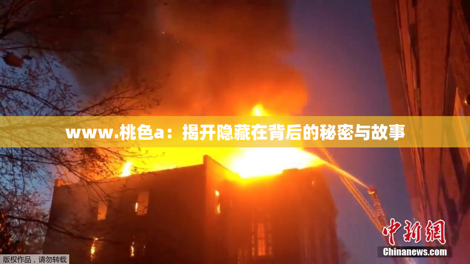 www.桃色a：揭开隐藏在背后的秘密与故事