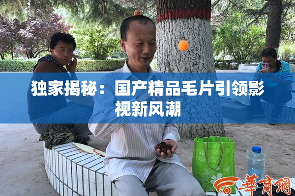 独家揭秘：国产精品毛片引领影视新风潮
