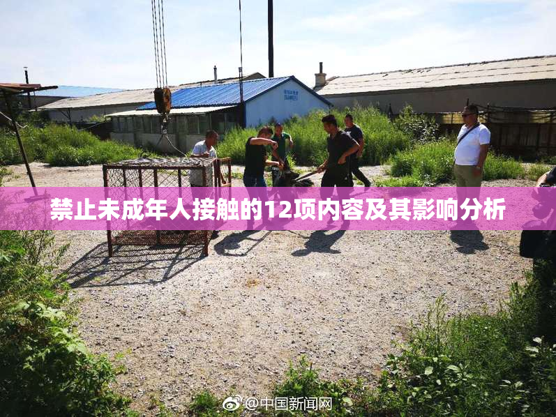 禁止未成年人接触的12项内容及其影响分析