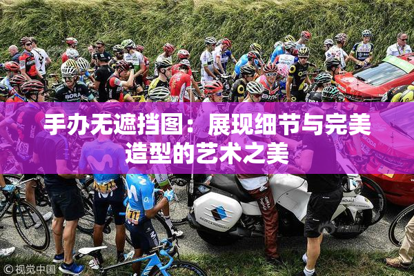 手办无遮挡图：展现细节与完美造型的艺术之美