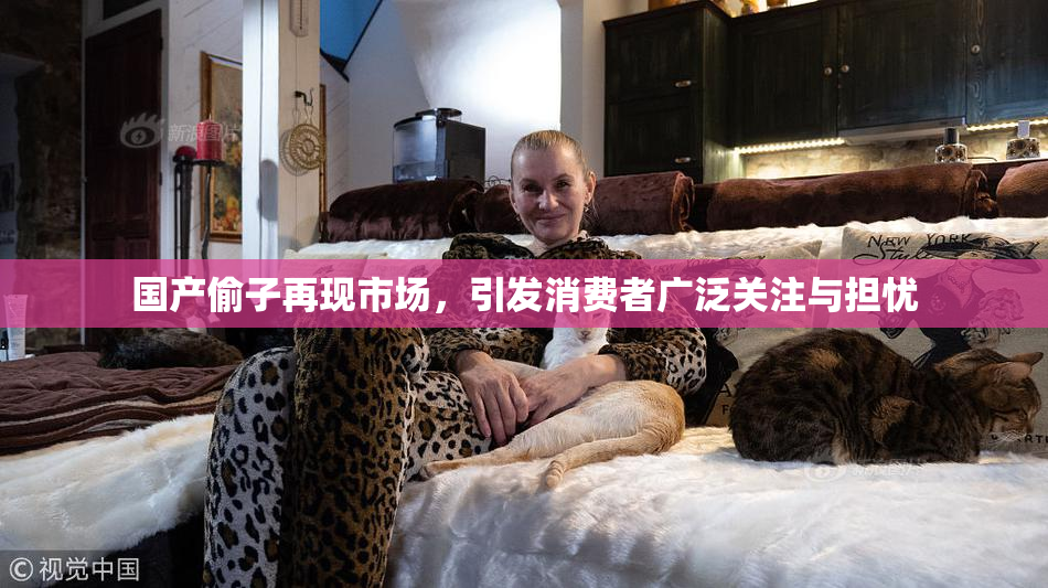 国产偷子再现市场，引发消费者广泛关注与担忧