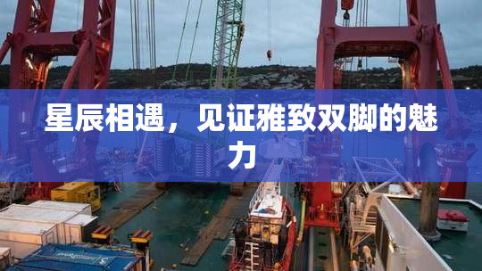星辰相遇，见证雅致双脚的魅力