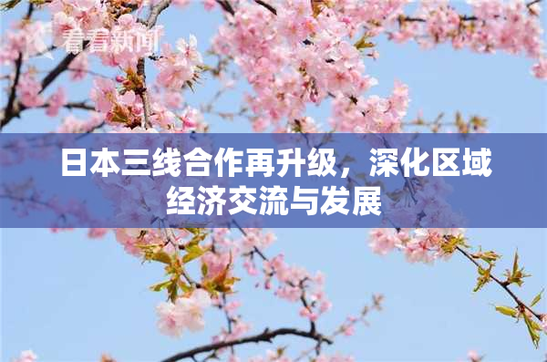 日本三线合作再升级，深化区域经济交流与发展