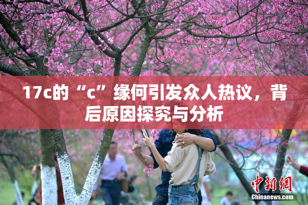 17c的“c”缘何引发众人热议，背后原因探究与分析