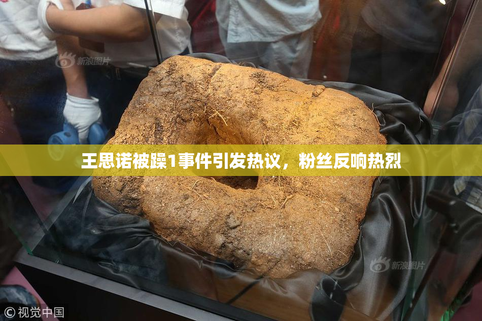 王思诺被躁1事件引发热议，粉丝反响热烈