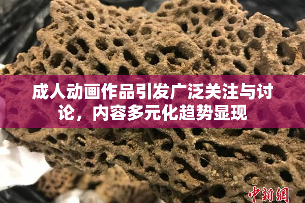 成人动画作品引发广泛关注与讨论，内容多元化趋势显现