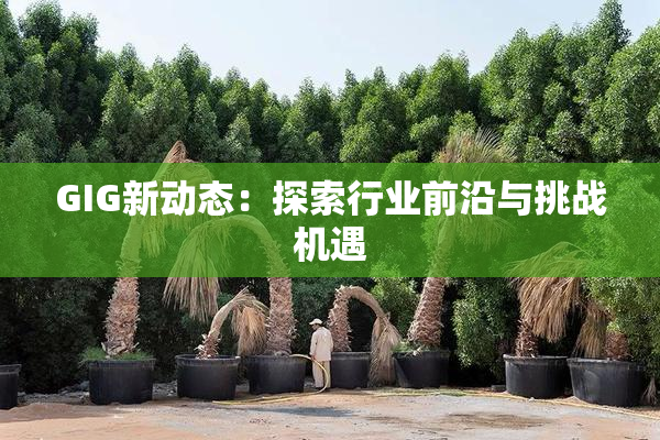 GIG新动态：探索行业前沿与挑战机遇