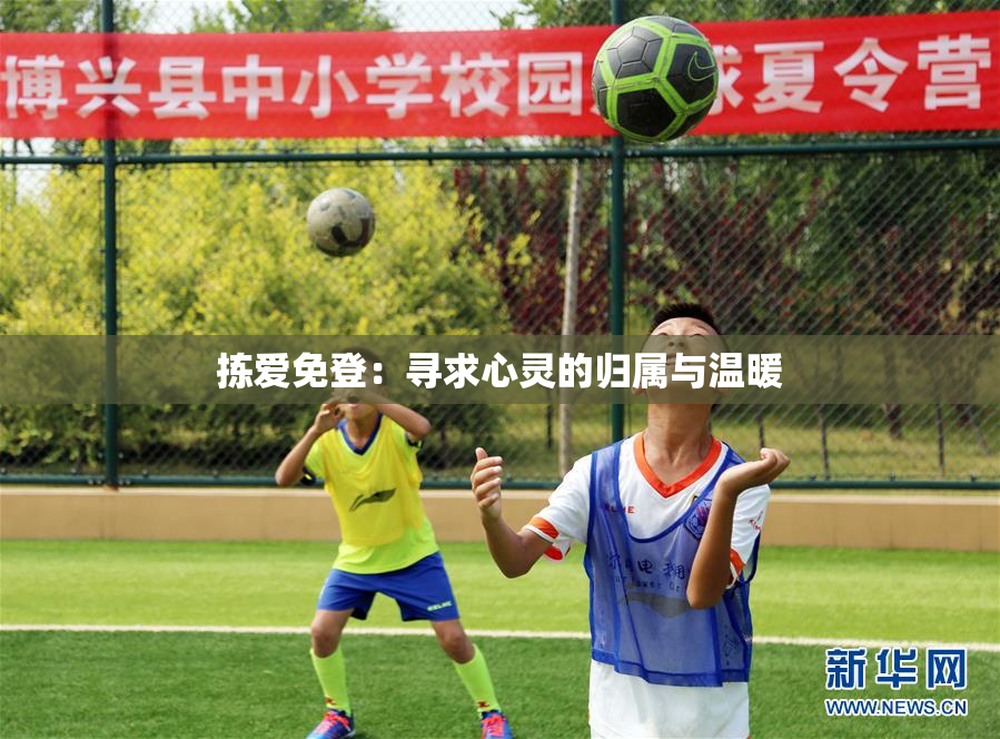 拣爱免登：寻求心灵的归属与温暖