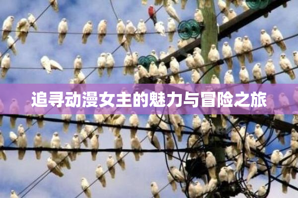 追寻动漫女主的魅力与冒险之旅