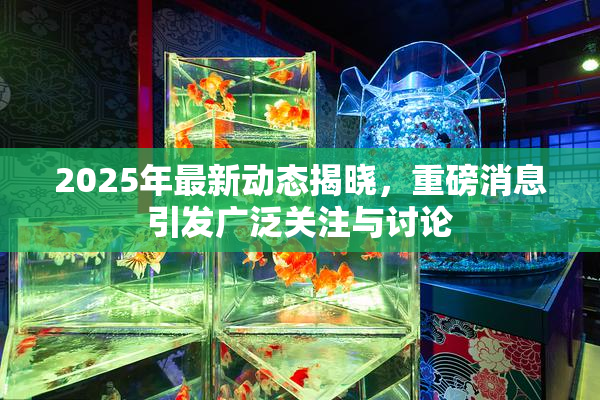 2025年最新动态揭晓，重磅消息引发广泛关注与讨论