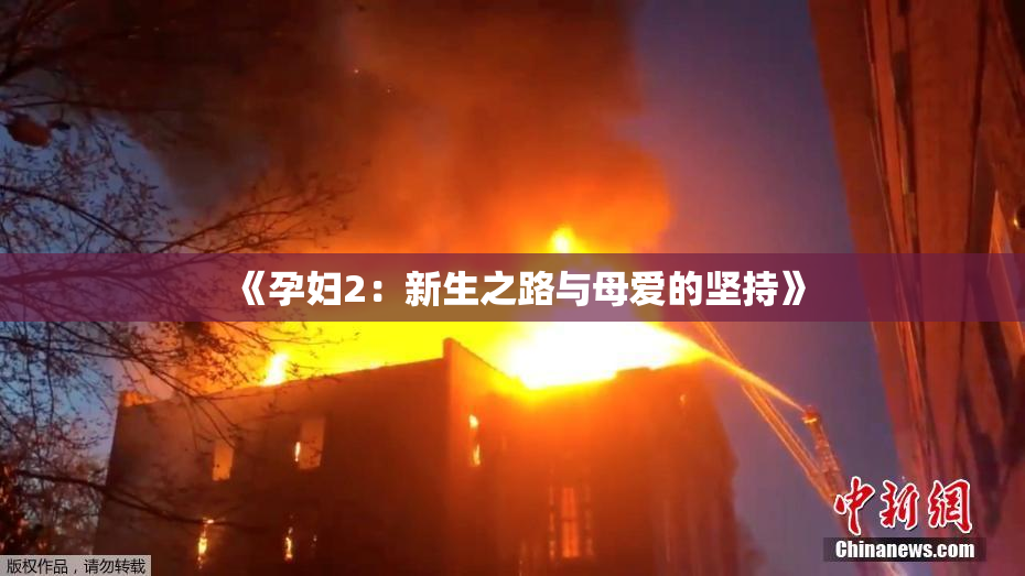 《孕妇2：新生之路与母爱的坚持》