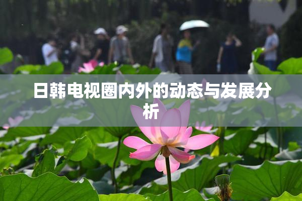 日韩电视圈内外的动态与发展分析