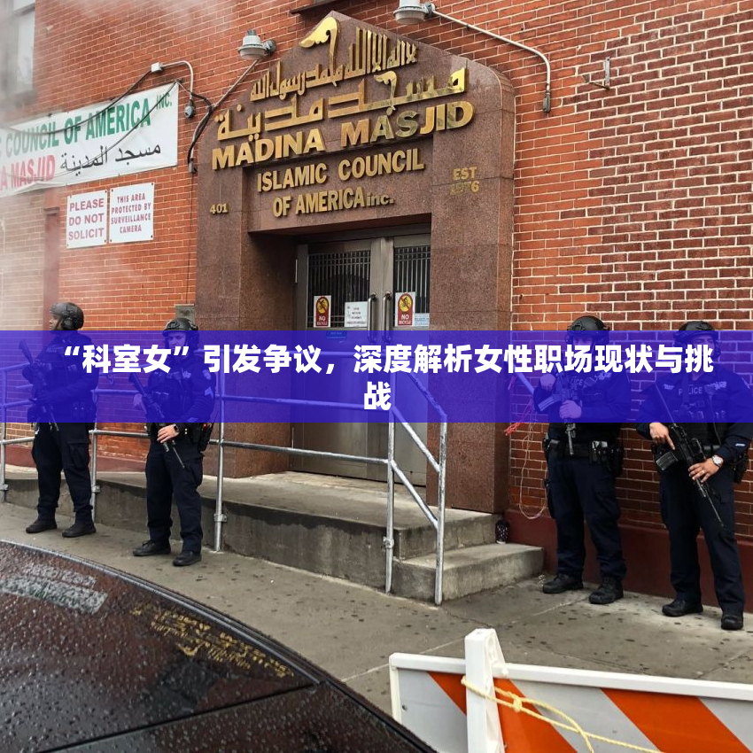 “科室女”引发争议，深度解析女性职场现状与挑战