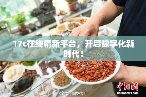 17c在线精新平台，开启数字化新时代！