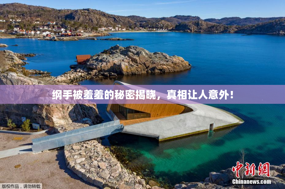 纲手被羞羞的秘密揭晓，真相让人意外！
