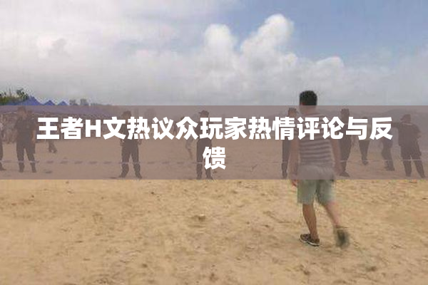 王者H文热议众玩家热情评论与反馈