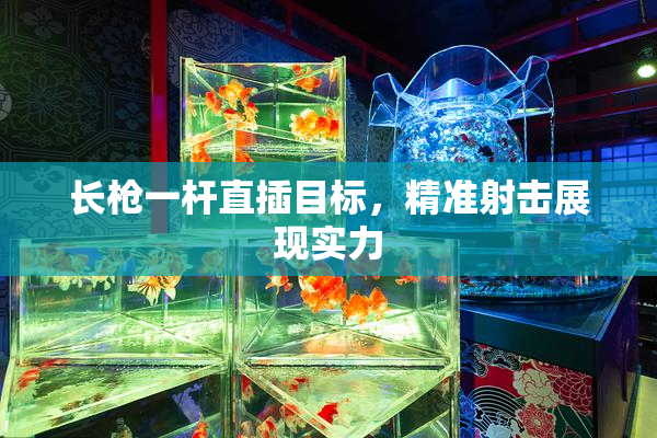 长枪一杆直插目标，精准射击展现实力