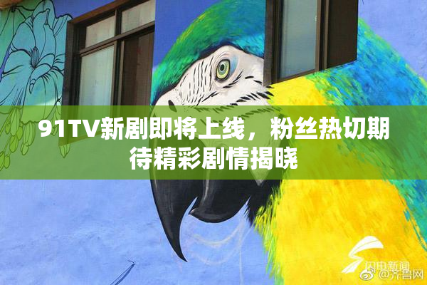 91TV新剧即将上线，粉丝热切期待精彩剧情揭晓