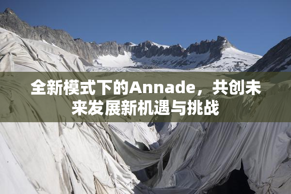 全新模式下的Annade，共创未来发展新机遇与挑战