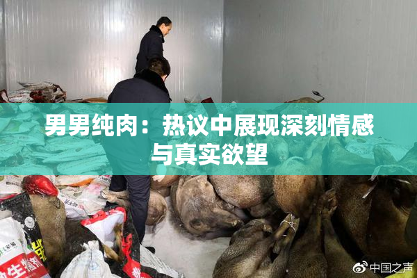 男男纯肉：热议中展现深刻情感与真实欲望