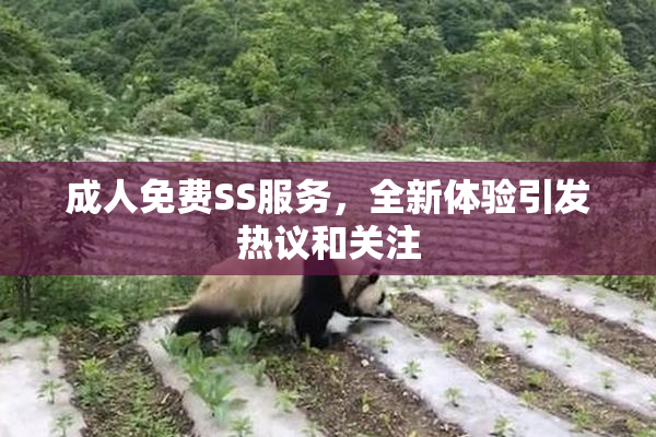 成人免费SS服务，全新体验引发热议和关注