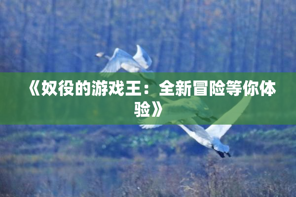 《奴役的游戏王：全新冒险等你体验》