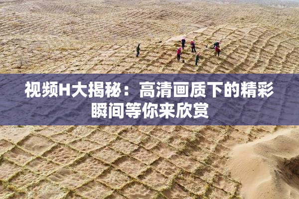 视频H大揭秘：高清画质下的精彩瞬间等你来欣赏