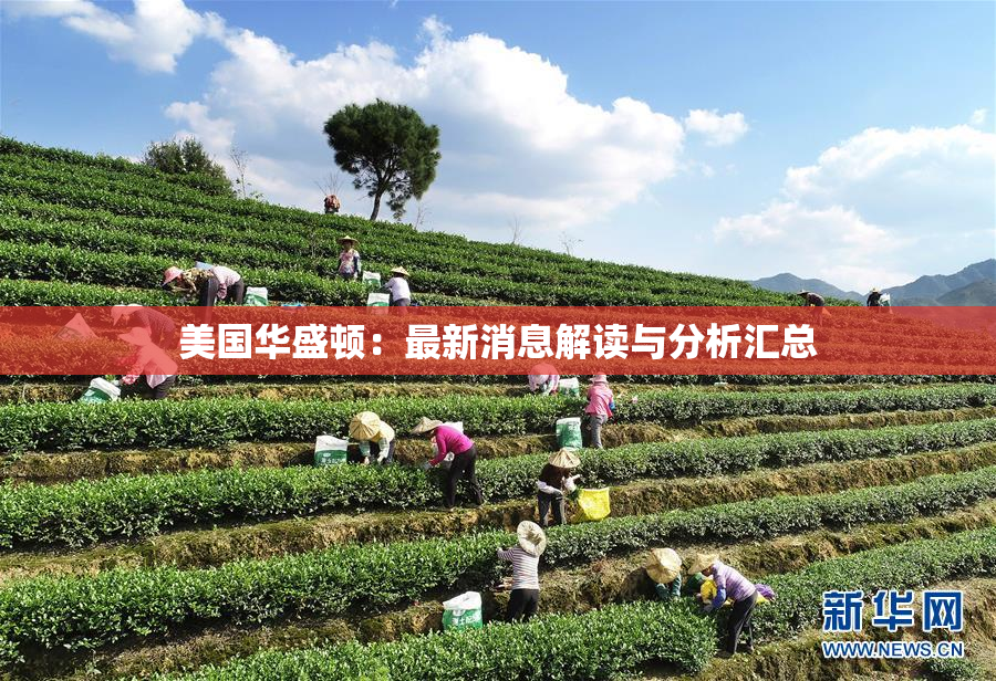 美国华盛顿：最新消息解读与分析汇总