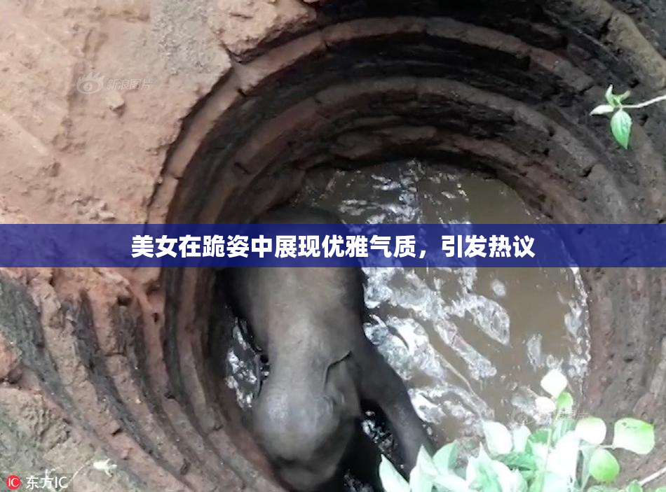 美女在跪姿中展现优雅气质，引发热议
